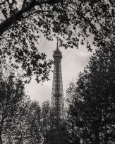 Stephan-Redel-0081-851-0530