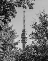 Stephan-Redel-0148-1189-3282