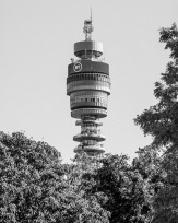 Stephan-Redel-0184-1117-07908