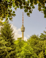 Stephan-Redel-0208-502-1922
