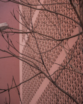 Stephan-Redel-0215-896-4849