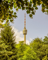 Stephan-Redel-0222-502-1922