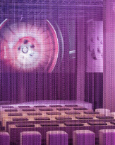 Stephan-Redel-0261-713-3382