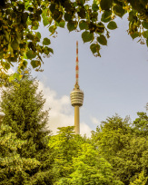 Stephan-Redel-0294-502-1922
