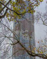 Stephan-Redel-0301-1119-2798