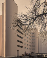 Stephan-Redel-0326-990-08137