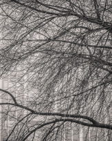 Stephan-Redel-0353-814-2234