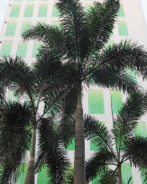 Stephan-Redel-0379-866-5502