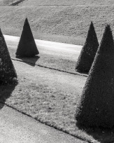 Stephan-Redel-0381-902-07027