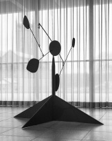 Stephan-Redel-0390-990-08060