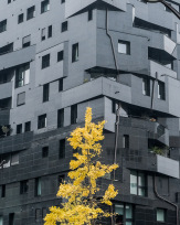 Stephan-Redel-0438-809-1454