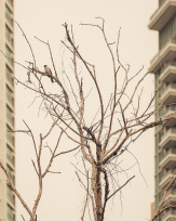 Stephan-Redel-0516-866-4422