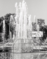 Stephan-Redel-0557-685-0913