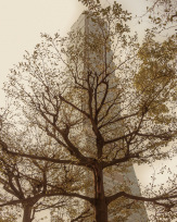 Stephan-Redel-0563-866-1573