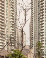 Stephan-Redel-0564-866-4424