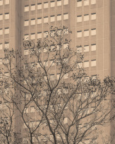 Stephan-Redel-0565-866-1196