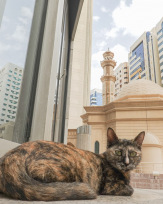 Stephan-Redel-0609-866-0445