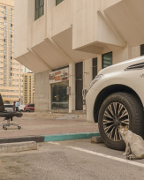 Stephan-Redel-0610-866-0362