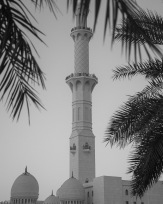 Stephan-Redel-0625-866-0146