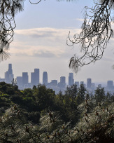 Stephan-Redel-0696-390-9935