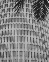 Stephan-Redel-0698-866-0105