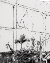 Stephan-Redel-0780-714-0525