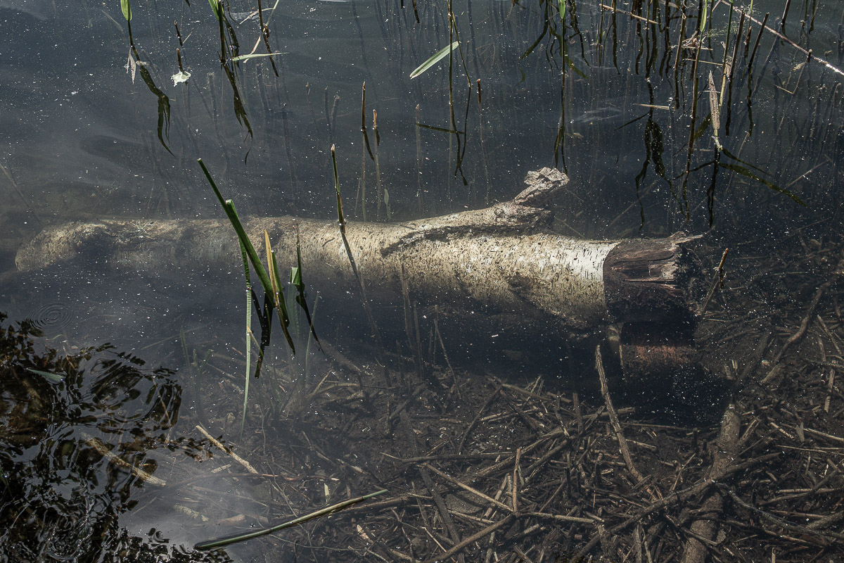 Stephan-Redel-0023-1137-00713