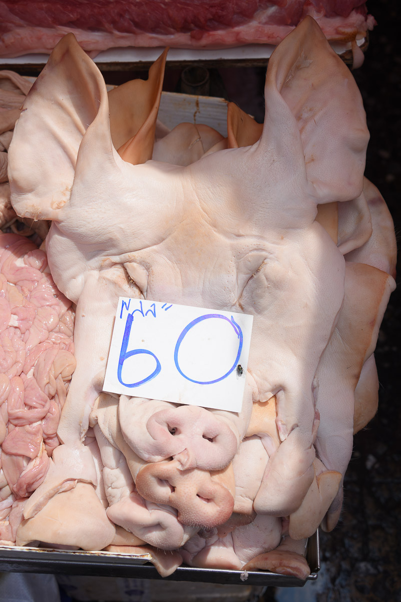 Stephan-Redel-0025-780-0485