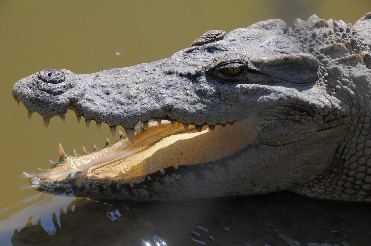 Stephan-Redel-0051-548-3934