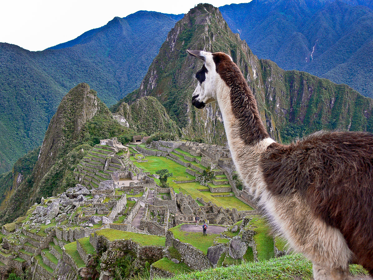 Stephan-Redel-0054-245-1090477