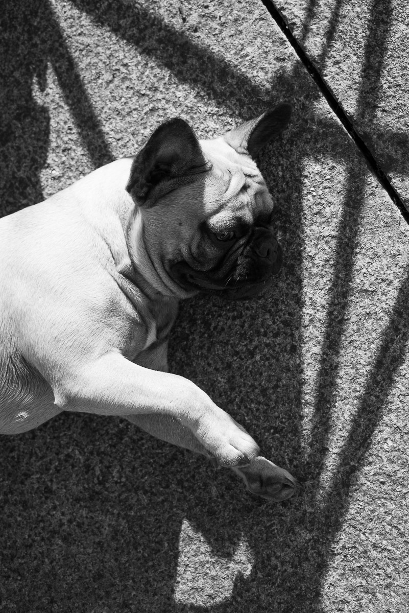 Stephan-Redel-0058-844-0421