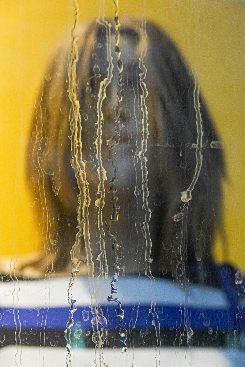 Stephan-Redel-0061-1025-05848