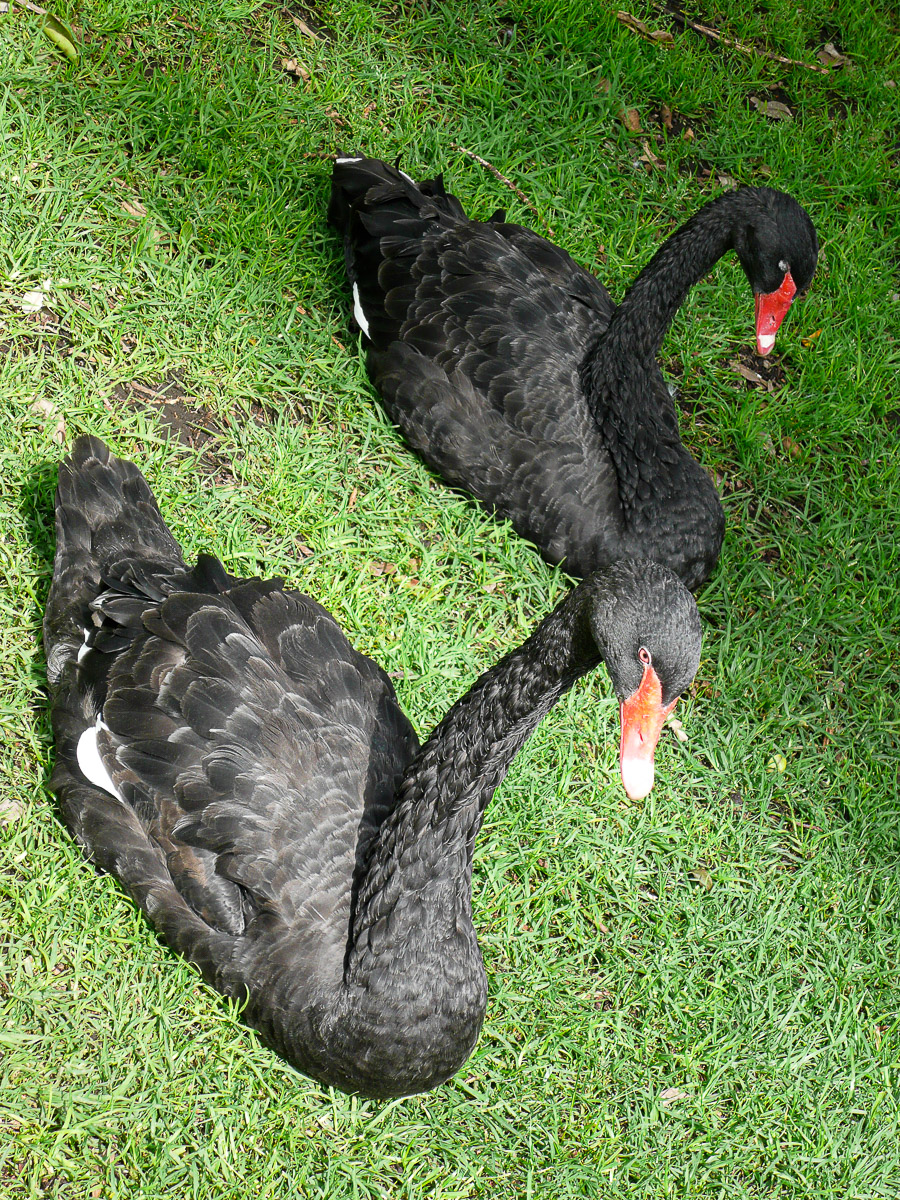 Stephan-Redel-0081-264-10433