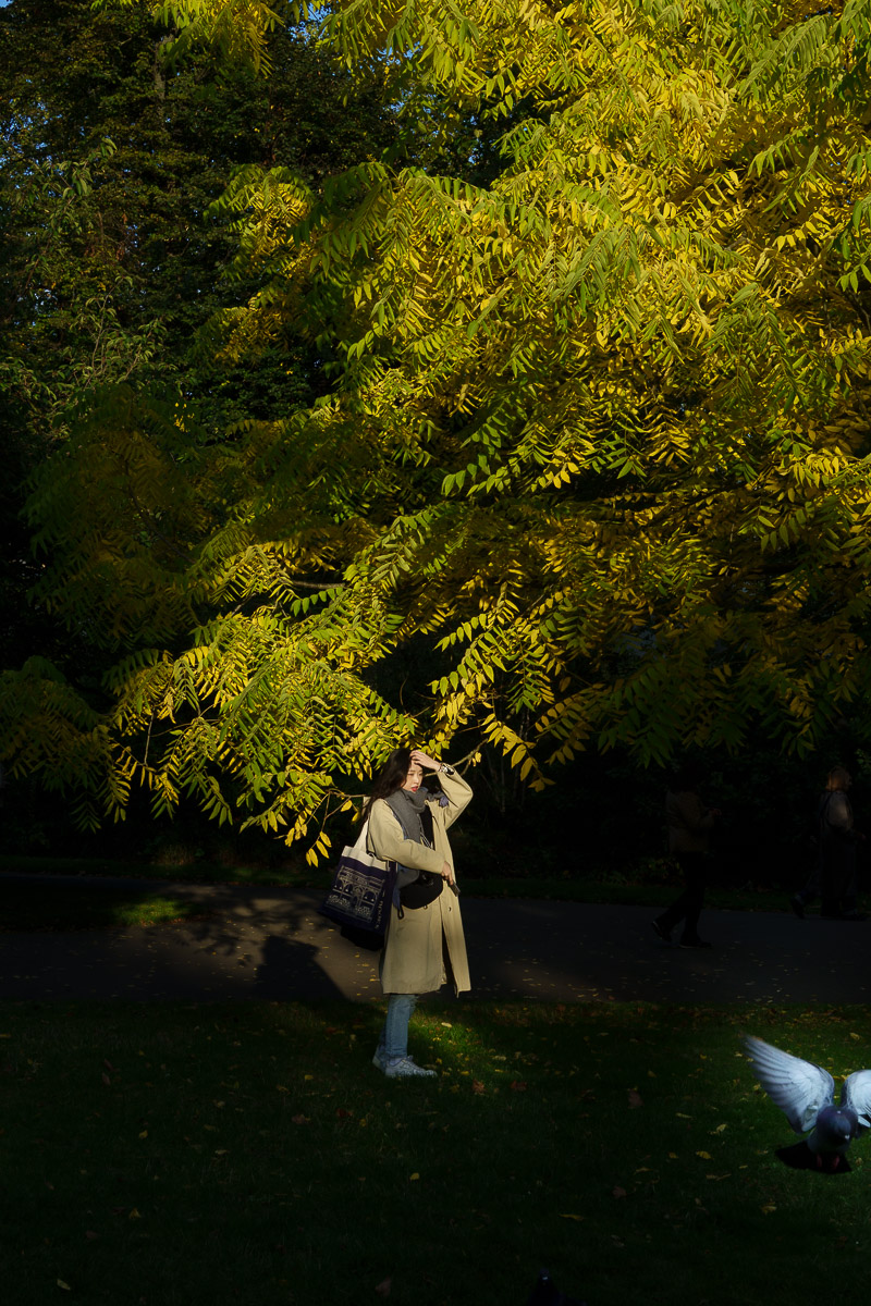 Stephan-Redel-0100-1117-08478