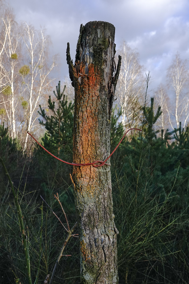 Stephan-Redel-0140-1038-08371