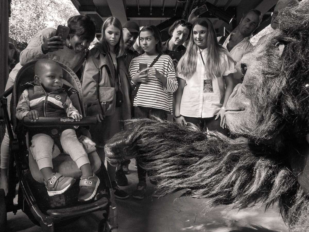 Stephan-Redel-0179-885-01746