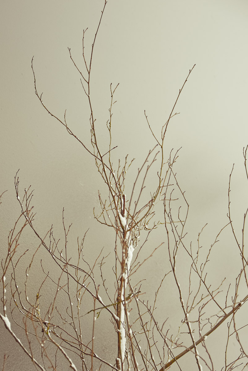 Stephan-Redel-0187-704-0345