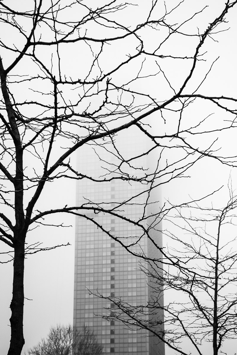 Stephan-Redel-0188-814-2208