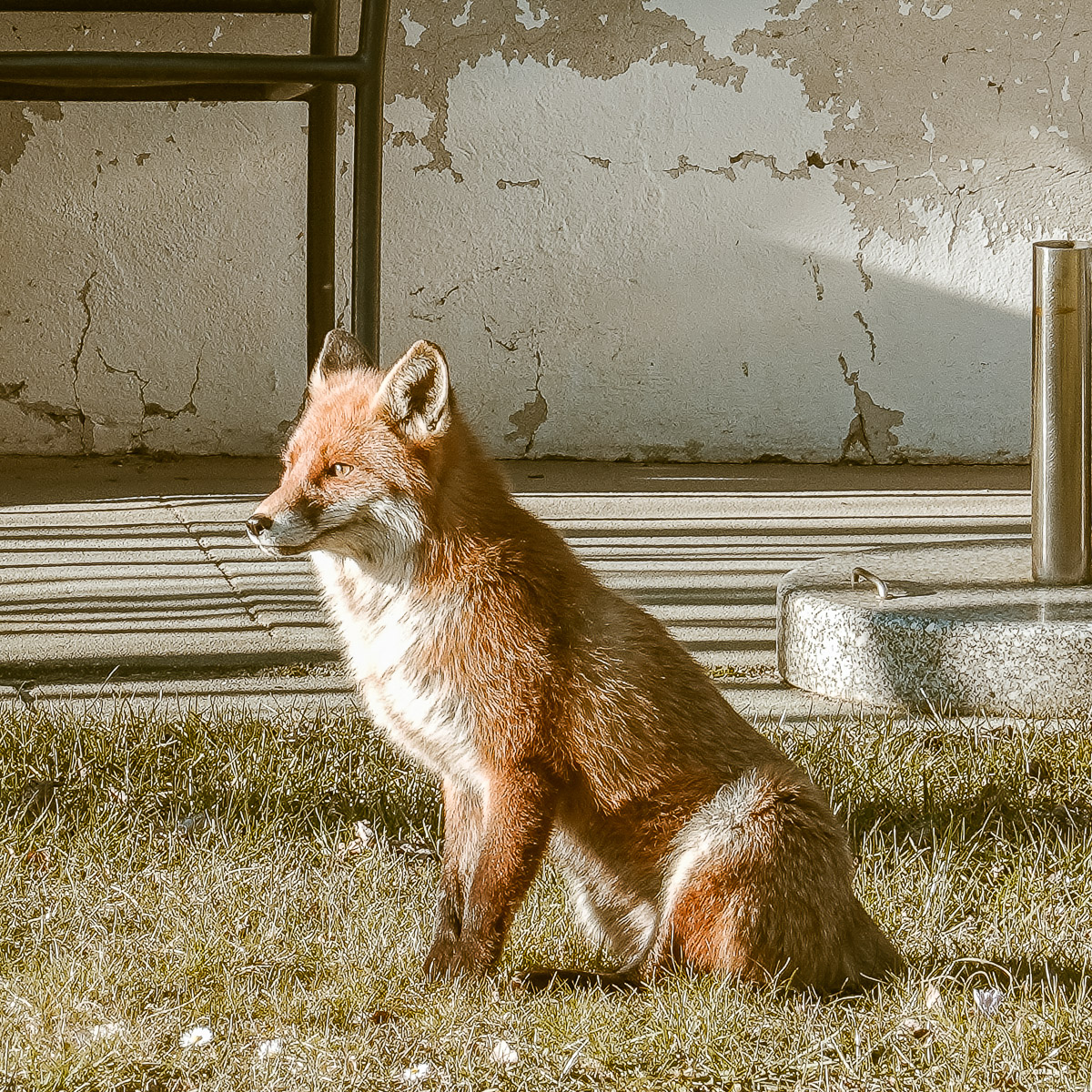 Stephan-Redel-0231-999-09248