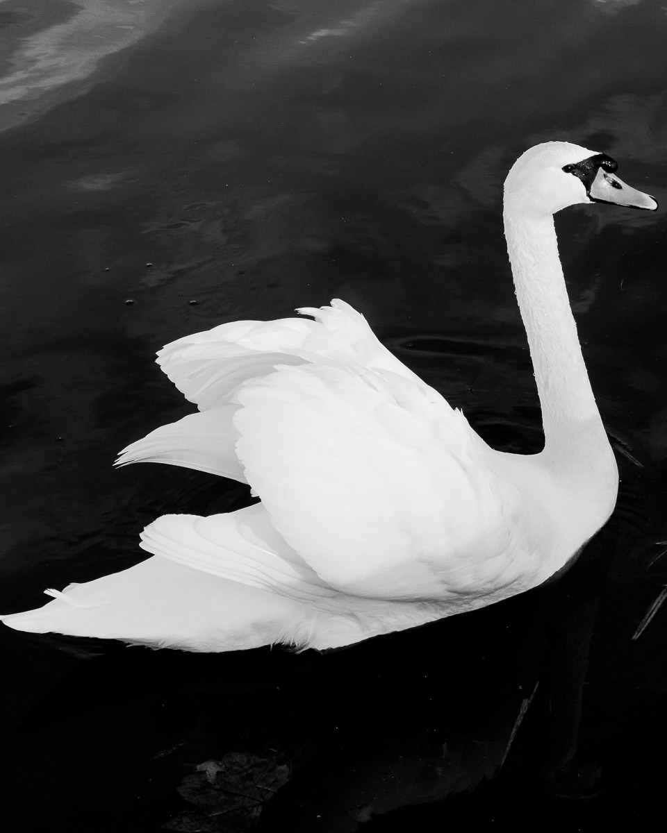 Stephan-Redel-0247-902-07353