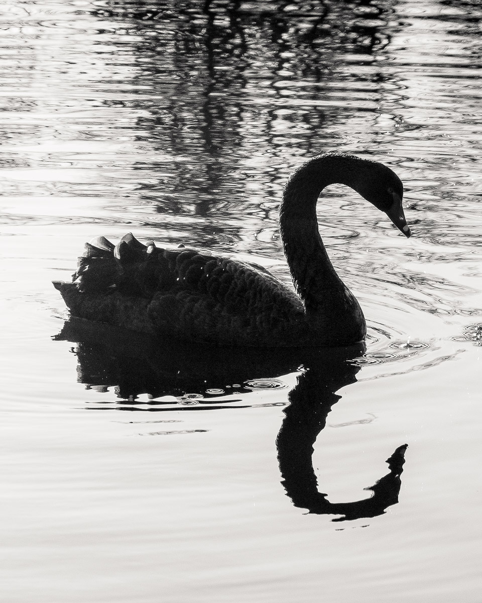 Stephan-Redel-0249-902-07460