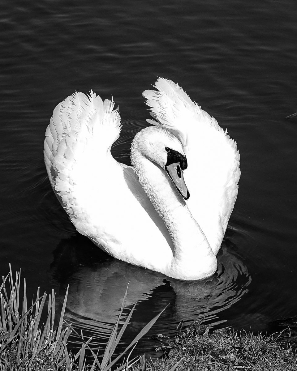 Stephan-Redel-0251-867-07912