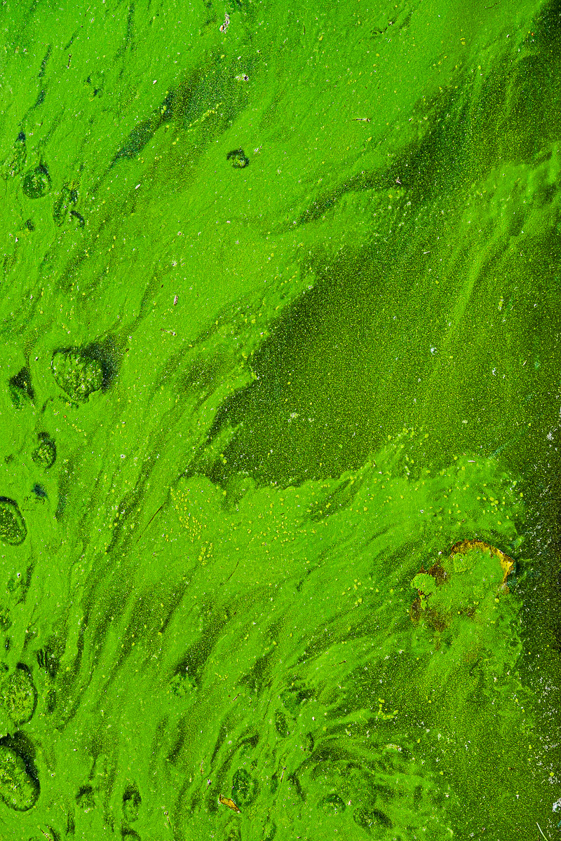 Stephan-Redel-0253-1076-541