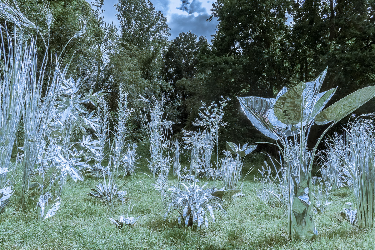 Stephan-Redel-0266-914-09254