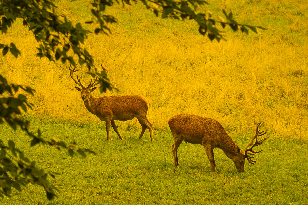 Stephan-Redel-0269-1063-01368