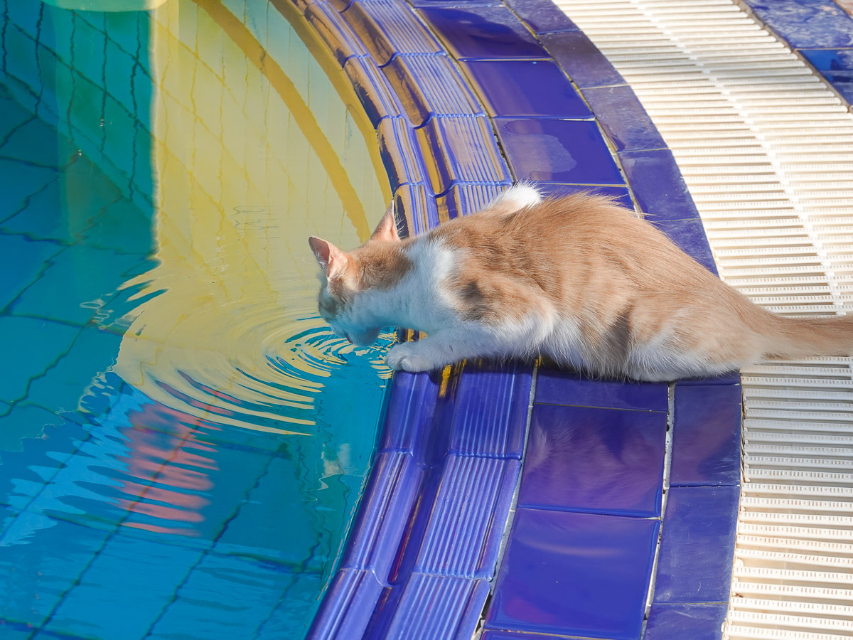 Stephan-Redel-0288-1082-03714