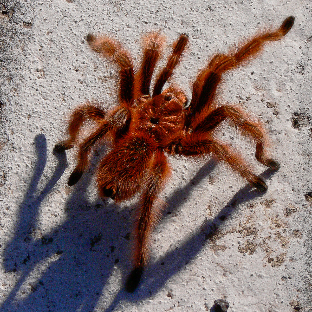 Stephan-Redel-0291-245-1080463