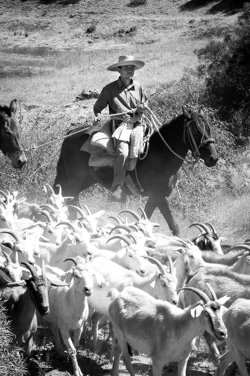 Stephan-Redel-0292-245-1080414