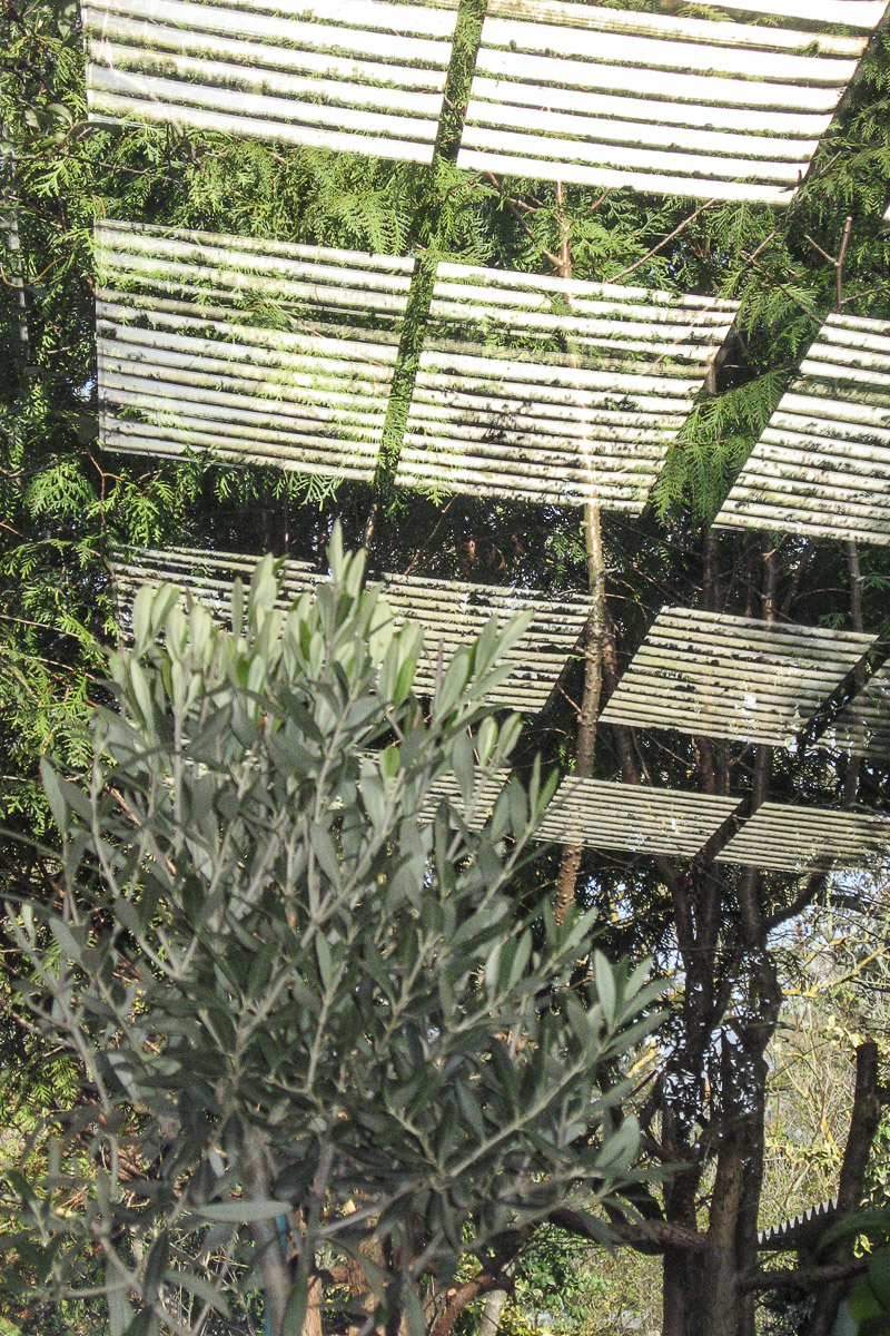 Stephan-Redel-0294-1047-1430