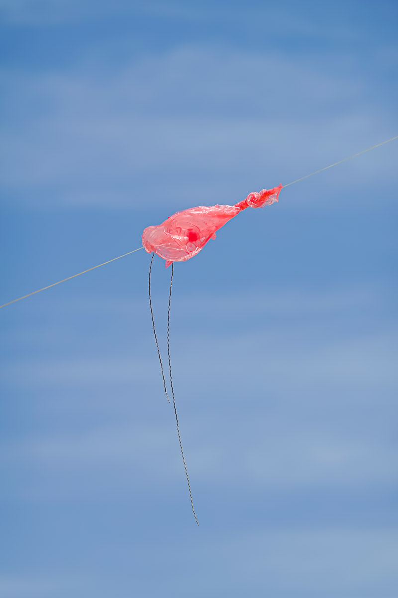 Stephan-Redel-0310-1046-1020